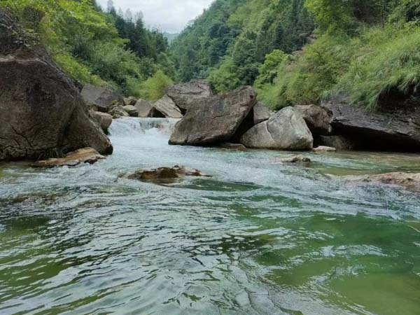 庭前會議中需要討論哪些問題？上海案刑事律師為您解答