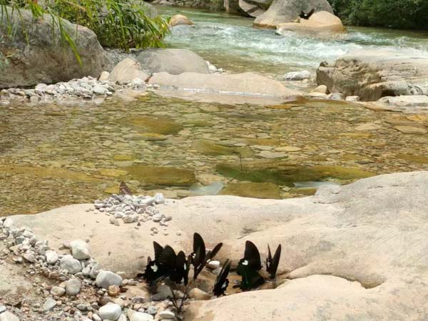 偵查人員以親屬的安危威脅被告人的證據(jù)是否有效？普陀區(qū)刑事律師告訴您