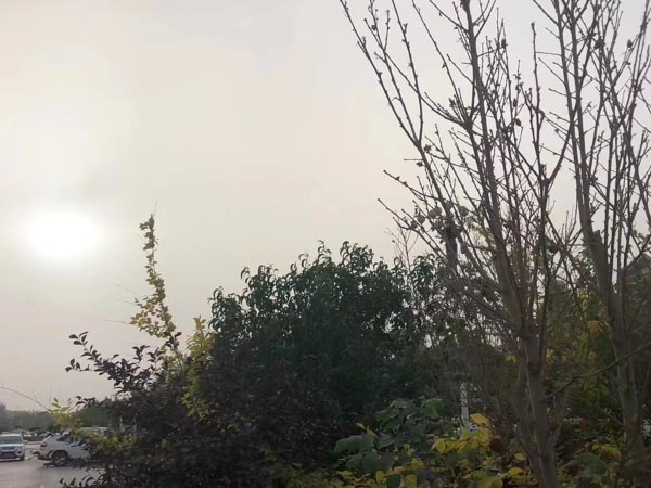 律師在刑事審判中的意義是什么？上海松江刑事律師來講講