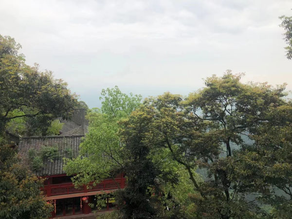 盜竊信用卡的行為包括哪些？寶山刑事律師帶您了解