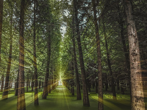 非法批準(zhǔn)征用、占用土地罪