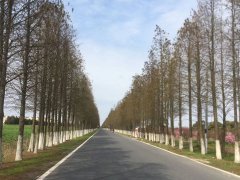 犯罪集團應(yīng)當(dāng)具備哪些條件