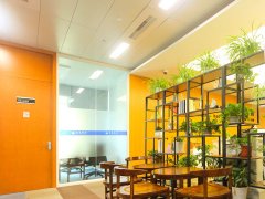 上海經(jīng)濟犯罪屬于什么犯罪