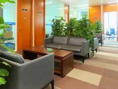 上海刑事辯護(hù)律師回答:上海減刑最多可以減幾