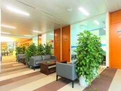 <b>松江區(qū)刑事律師視角下2022經(jīng)濟犯罪量刑金額標準解析</b>